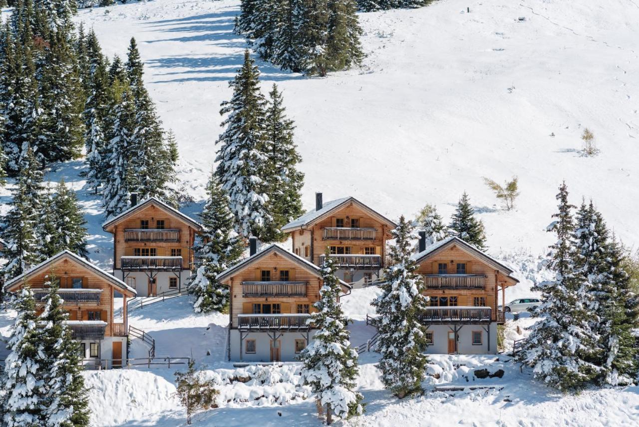 Feriendorf Koralpe Alpenrose Frantschach Экстерьер фото