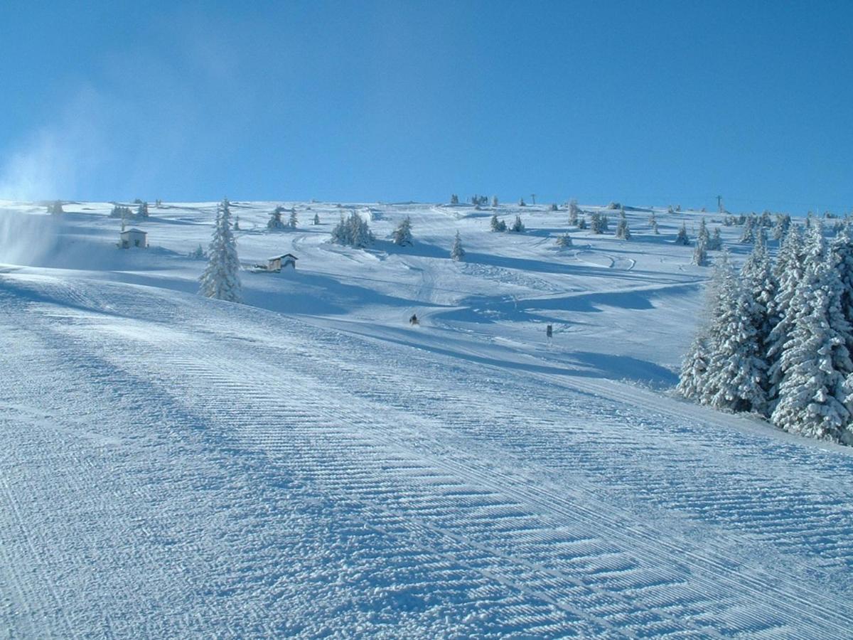 Feriendorf Koralpe Alpenrose Frantschach Экстерьер фото